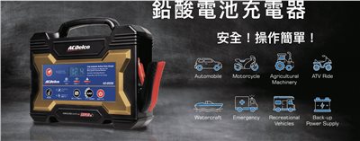 AD-2002 15A 12V 智能脈衝電瓶充電器